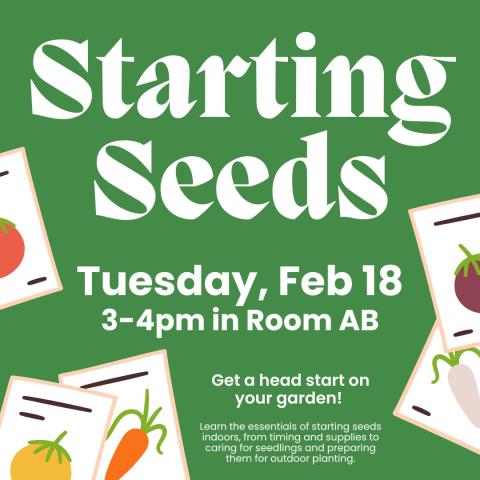 feb18 - Starting Seeds